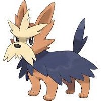 herdier pokemon dog