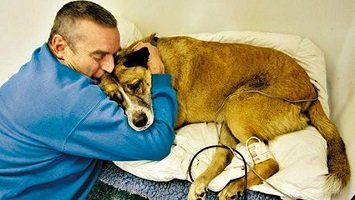 how do vets dispose of euthanized pets