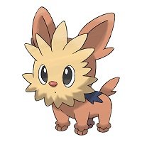 lillipup pokemon dog