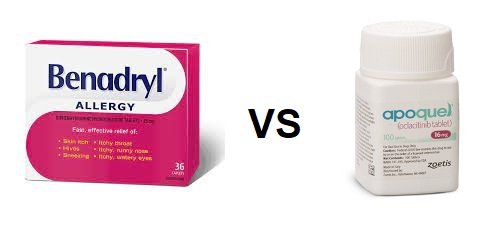 apoquel vs benadryl