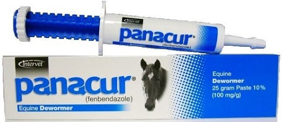 horse panacur for dogs