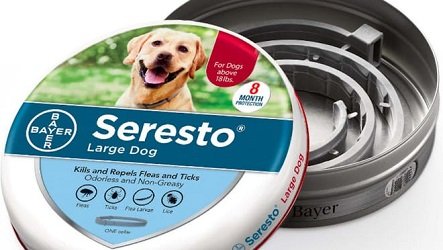 is seresto collar making dogs sick