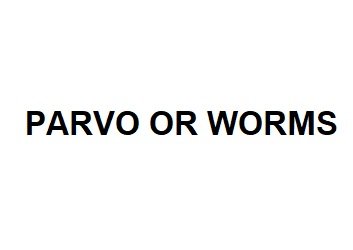 paro or worms