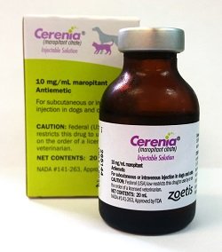 cerenia killed my dog