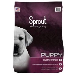 sprout dog food