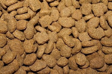 Dry Dog Food Calories Count